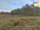 Działka budowlana Benenard gm. Radziejowice - 3
