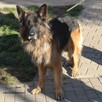 Ajron - 5