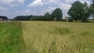 Działka budowlana Zgoń gm. Orzesze - 2