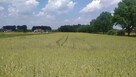 Działka budowlana Zgoń gm. Orzesze - 4