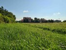 dla DEWELOPERA 6km od Łodzi, Media, Asfalt, MPZP - 4