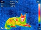 Termowizja. Badania Termowizyjne - 10
