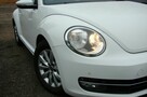 Volkswagen New Beetle 1.6 TDI 110 KM Bogata Wersja - 14