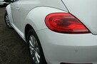 Volkswagen New Beetle 1.6 TDI 110 KM Bogata Wersja - 16