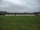 Działka budowlana Budy-Grzybek gm. Jaktorów - 2