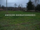 Działka budowlana Budy-Grzybek gm. Jaktorów - 3