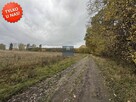 Działka rolna Wołczkowo gm. Dobra (Szczecińska), Leśna - 3