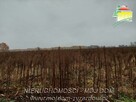 Działka budowlana Miedniewice gm. Wiskitki - 4