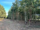DZIAŁKA BUDOWLANA - CIĘŻKÓW 1200 m2 - 2
