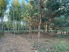 DZIAŁKA BUDOWLANA - CIĘŻKÓW 1200 m2 - 3