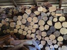 Sprzedam drewno kominkowe - 1