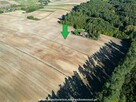 Działka rolna 2,73ha - Wola Knyszyńska - 2