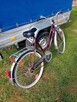 Rower kilka sztuk - 2