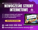 PROFESJONALNE STRONY INTERNETOWE WWW | SKLEPY WWW - 3