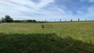 Działka budowlana Dygowo, Kolejowa - 8