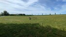 Działka budowlana Dygowo, Kolejowa - 10