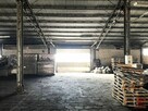 Lokal użytkowy Białystok Starosielce - 12