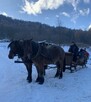 przejażdżka bryczką w górach wakacje atrakcje karpacz - 7
