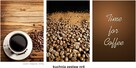 obrazy, plakaty PREMIUM, kuchnia, zestaw 3szt. A3, wzory... - 7