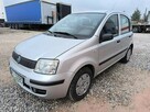 Fiat Panda - 2