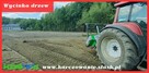 REKULTYWACJA Czyszczenie działki MULCZER LEŚNY wycinka drzew - 2