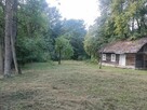 Siedlisko z małym domkiem i olszyną - 2