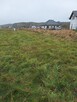 Działka Wolczkowo,1237m2,Decyzja wz, las. - 2