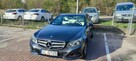 Mercedes-Benz Klasa E 220 BlueTEC 7G-TRONIC Classic - 15