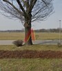 Lokal użytkowy Kraków Krowodrza, Wola Justowska, Królowej Jadwigi - 1