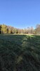 Działki, łąki Myszków 2270 m2 - 3