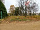 Na sprzedaż działka 15ar w Dębołęce, gmina Brzeźnio - 5