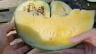 Melon Konfietnyj cukierek Słodki ogorkomelon - 3