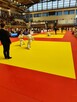Dla przedszkolaków . Judo. - 13