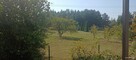SPRZEDAM DOM W ŚWIETNEJ LOKALIZACJI - 4