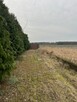 Syndyk sprzeda działkę - 3