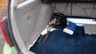 Sprzedam Volkswagen Golf 6000 zł. - 5
