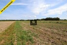 Działka rolna 0.43 ha Dobrzanów gm. Skórzec - 7
