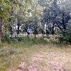Działka budowlana Żabia Wola Ojrzanów - 3