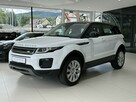 Land Rover Range Rover Evoque Line Assist, Łopatki 4x4, 1-właściel, FV23 ,Gwarancja, dostawa - 1