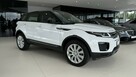 Land Rover Range Rover Evoque Line Assist, Łopatki 4x4, 1-właściel, FV23 ,Gwarancja, dostawa - 6