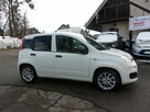 Fiat Panda VAN, Klimatyzacja, LPG, Faktura VAT 23%, Dwa komplety kół! - 6