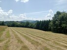 Działki w Bieszczadach koło Soliny - 7