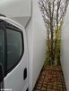 Iveco Daily 35S14 HI-MATIC / 2020 / NISKOPODWOZIE / IDEALNY POD KAMPER - 15