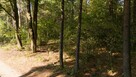 Działka budowlana Kamińsko gm. Przystajń, - 10