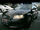 Audi A3 1.6mpi Stan Idealny 100%bezwypadkowy z Niemiec Gwarancja 12mcy 1właść - 9