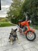Romet inny Motorynka  ( Polski Harley dla ubogich ) - 1