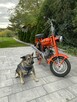 Romet inny Motorynka  ( Polski Harley dla ubogich ) - 2