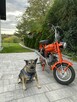 Romet inny Motorynka  ( Polski Harley dla ubogich ) - 14