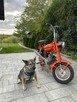Romet inny Motorynka  ( Polski Harley dla ubogich ) - 15