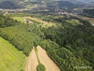 Działka rolna Zabrzeż gm. Łącko - 5